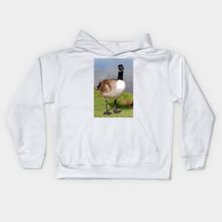 Canada Goose Canadian Geese Wild Bird Kids Hoodie